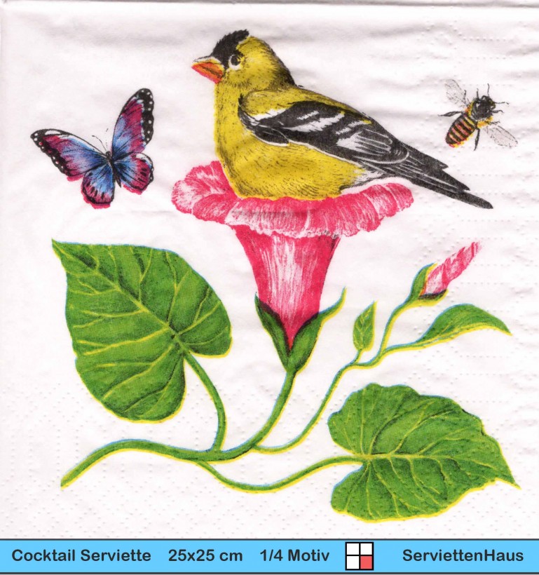 Blüte und Vogel - Vogel Biene Schmetterling an Trompetenblume - 1 Cocktail Serviette