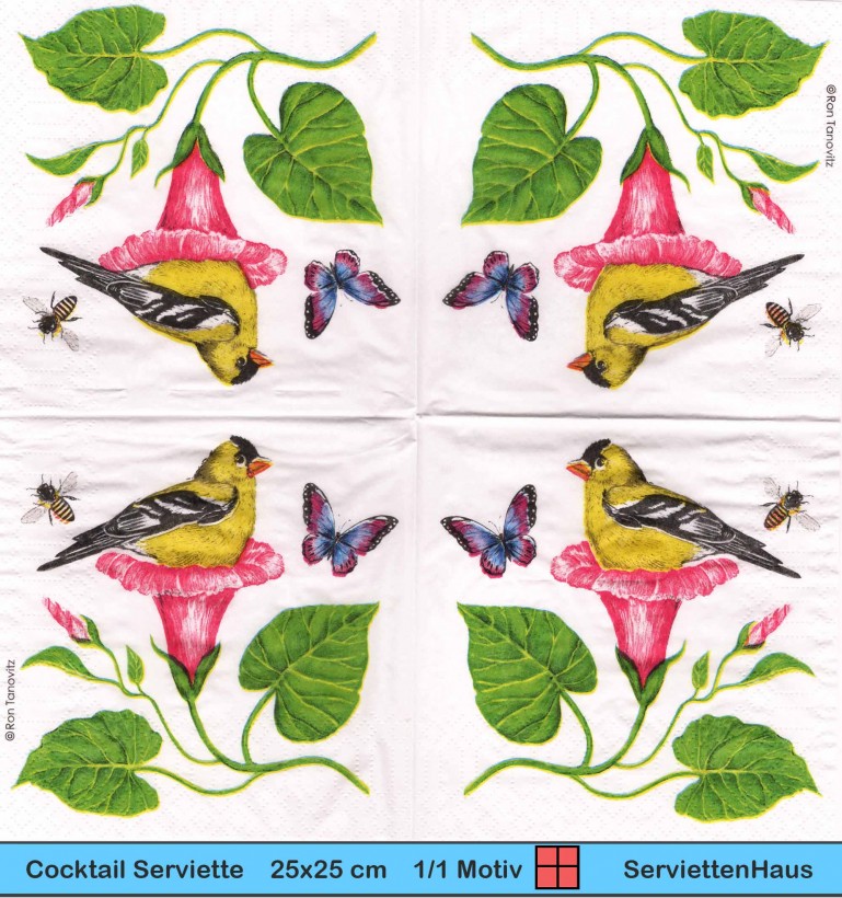 Blüte und Vogel - Vogel Biene Schmetterling an Trompetenblume - 1 Cocktail Serviette