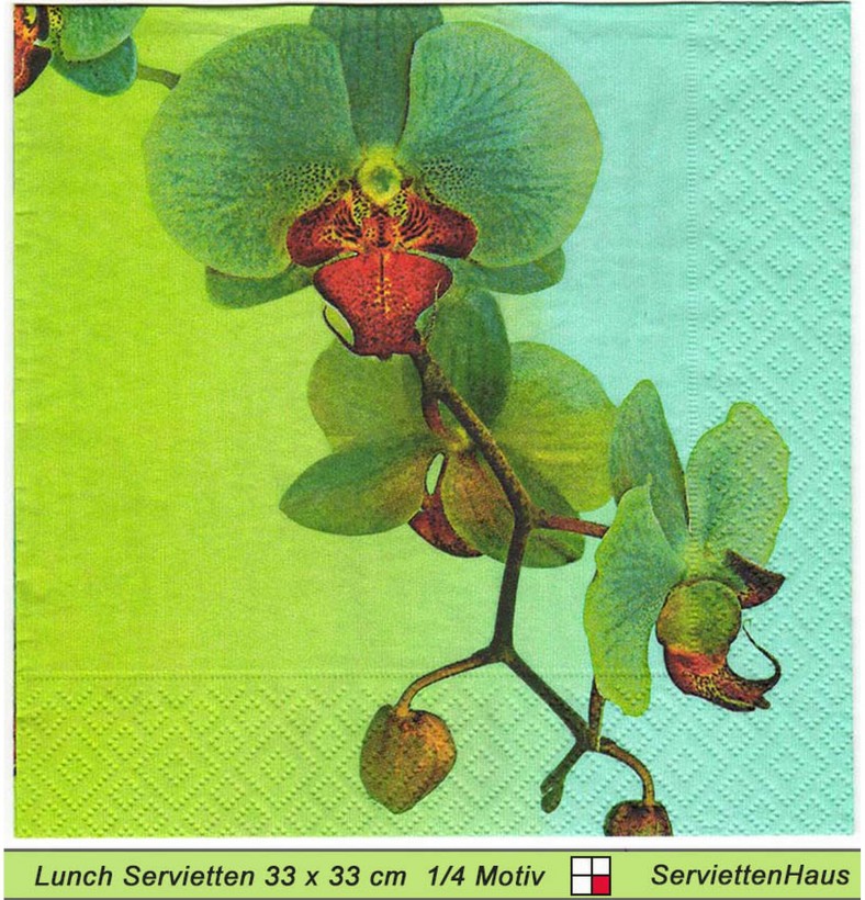 Grüne Orchidee - 1 Lunch Serviette