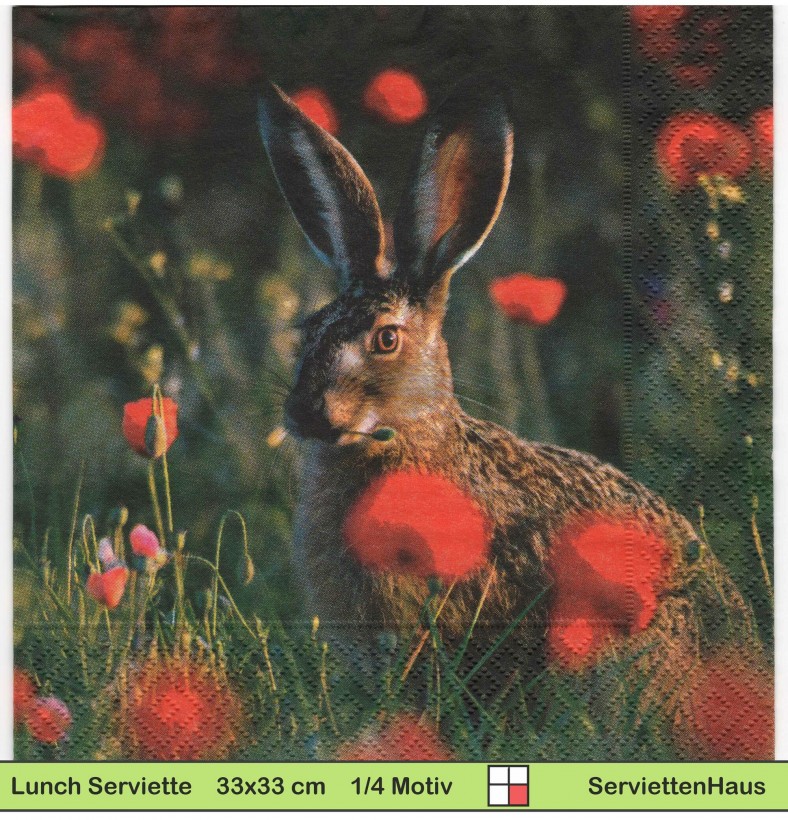 Hase im Mohnblumenfeld - 1 Lunch Serviette