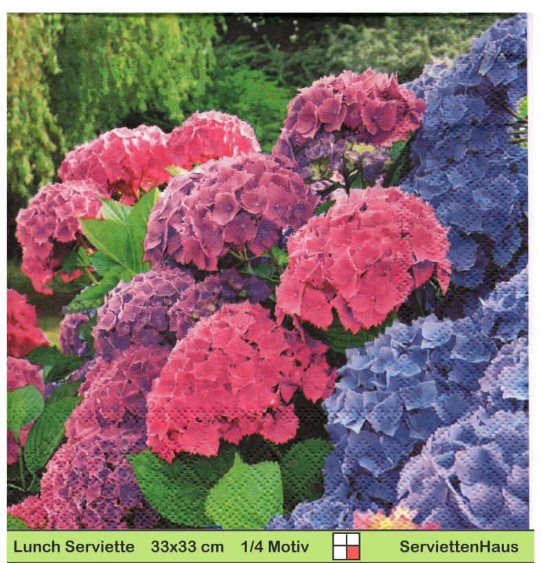 Hortensien in rosa und blau - 1 Lunch Serviette