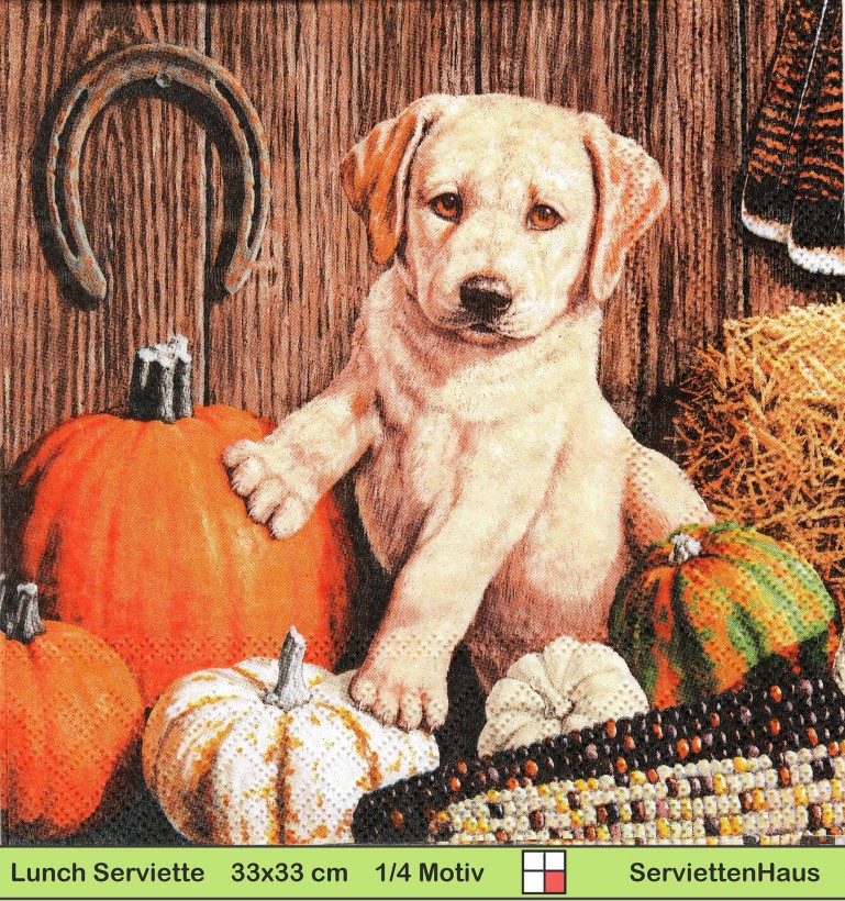 Golden Retriever Hund mit Kürbissen Mais und Hufeisen - 1 Lunch Serviette