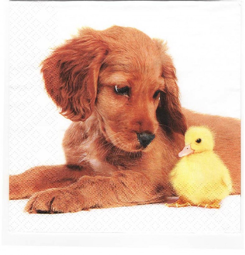 Hund und Küken beste Freunde - 1 Lunch Serviette