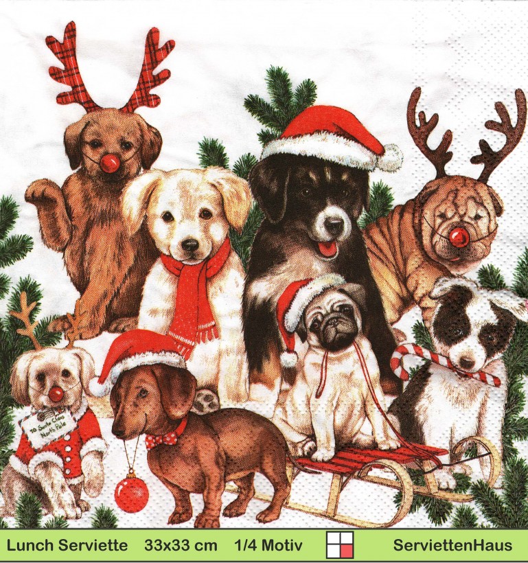 Viele verschiedene Hunde mit Nikolausmützen - 1 Lunch Serviette