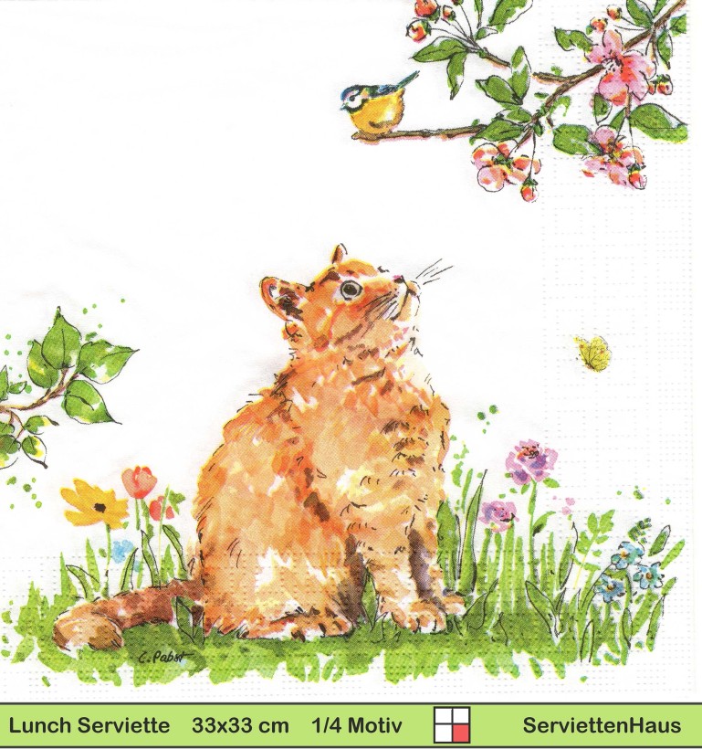 Katze beobachtet Meise - 1 Lunch Serviette