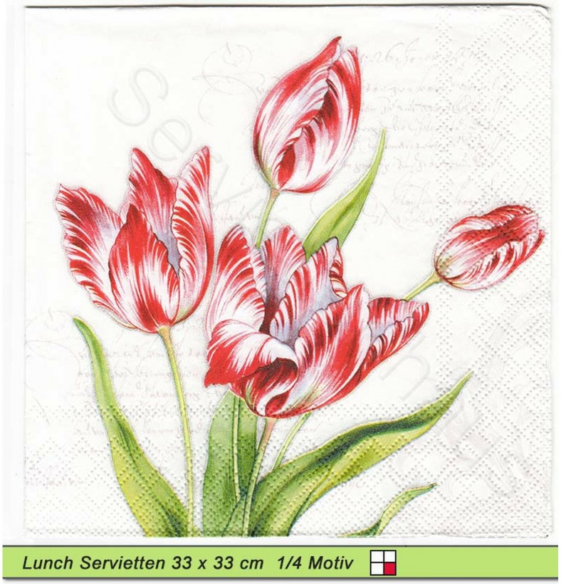 Klassische Tulpen in rot und weiß - 1 Lunch Serviette