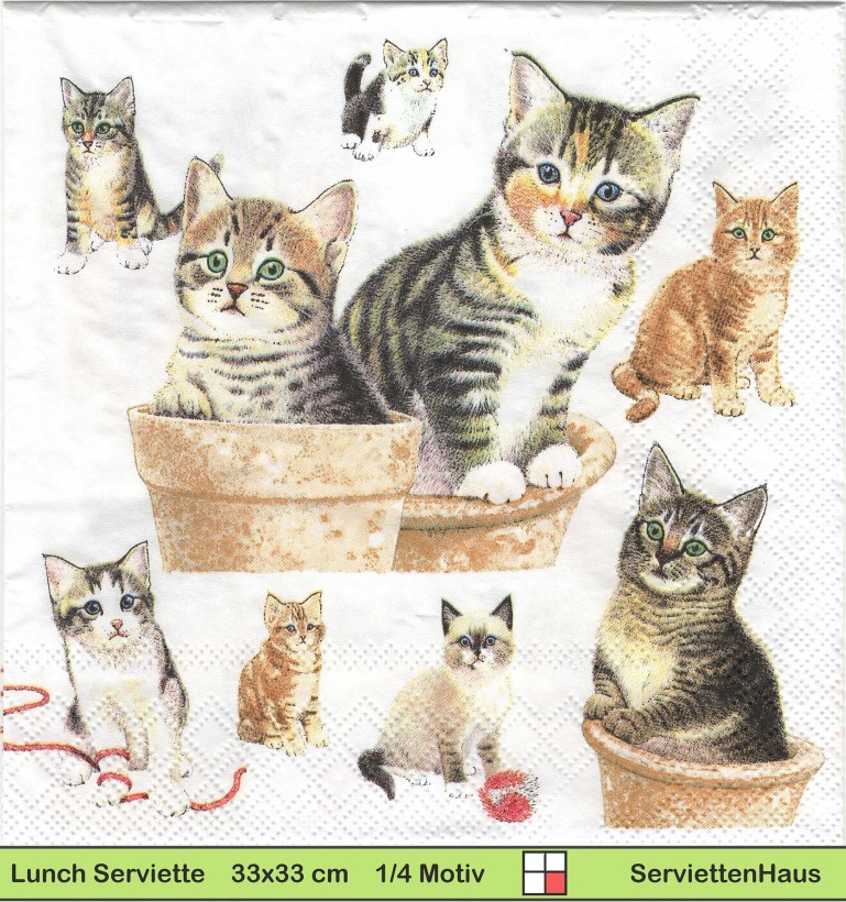 Spielende Katzen - 1 Lunch Serviette