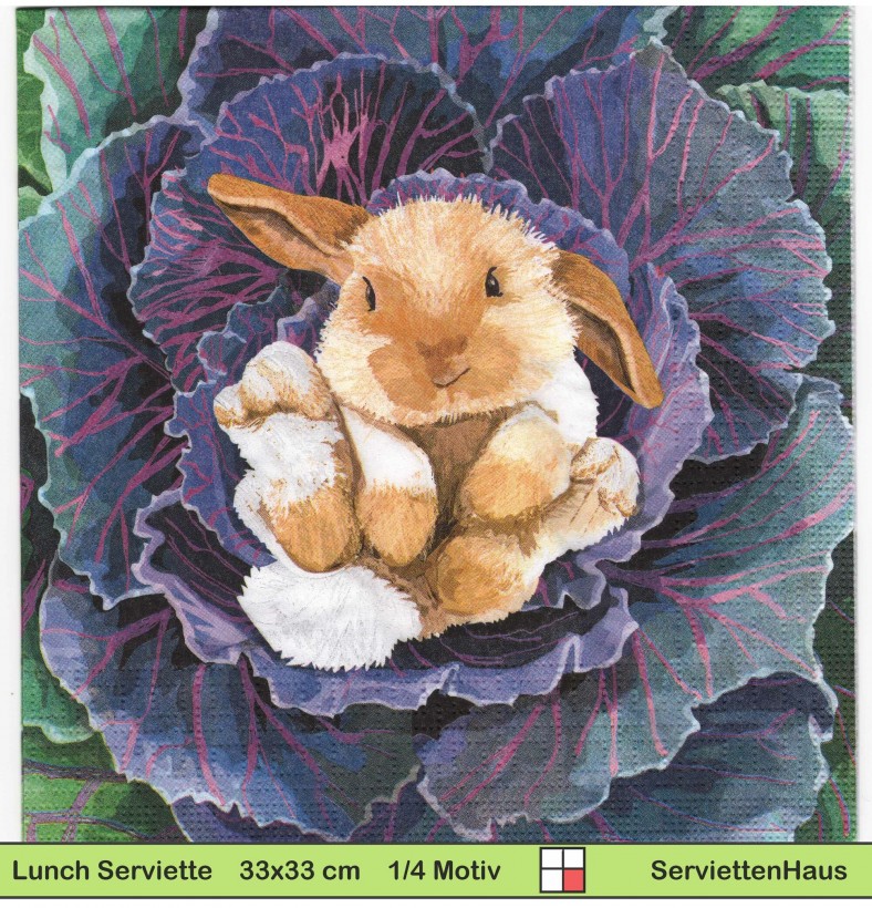 Kleiner Hase im Kohl - 1 Lunch Serviette