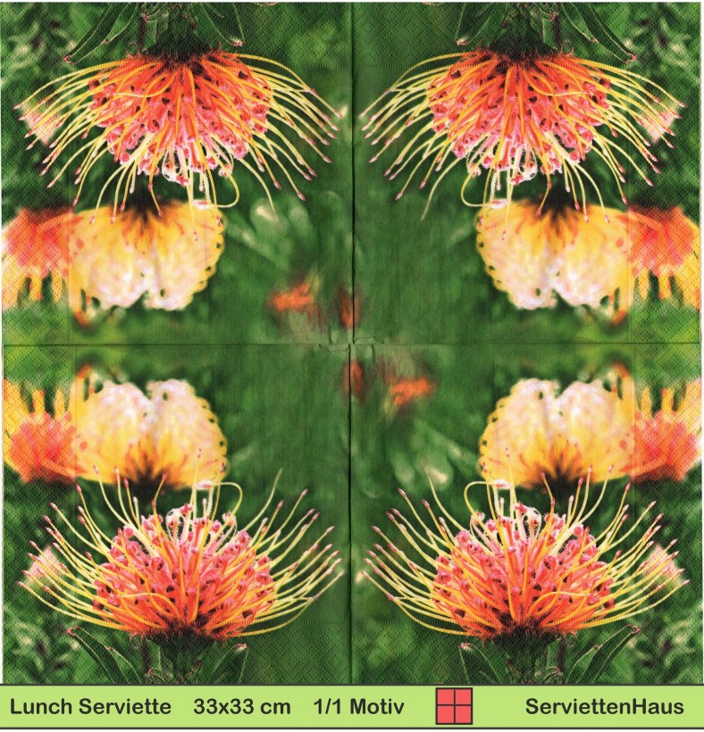 Leucospermum erubescens Nadelkissen - 1 Lunch Serviette