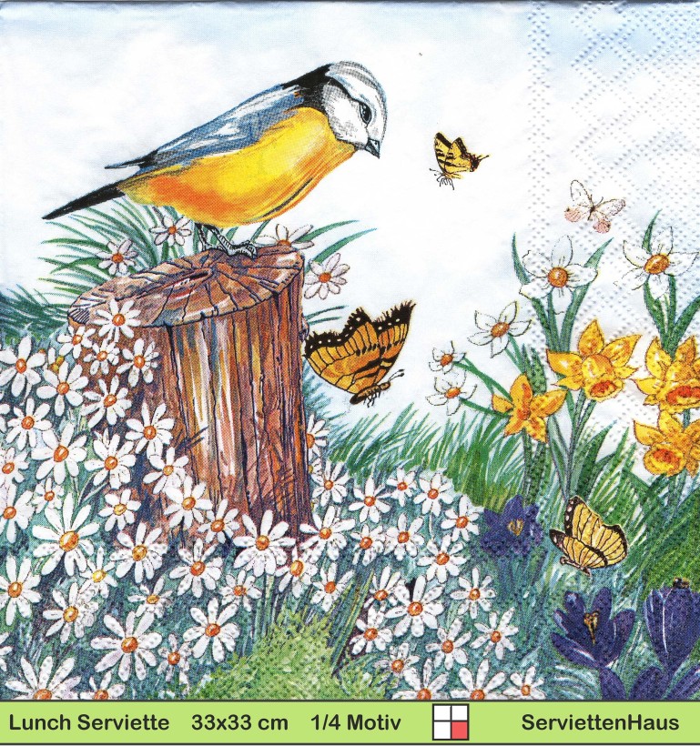 Kohlmeise in der Sommerwiese mit Schmetterling - 1 Lunch Serviette