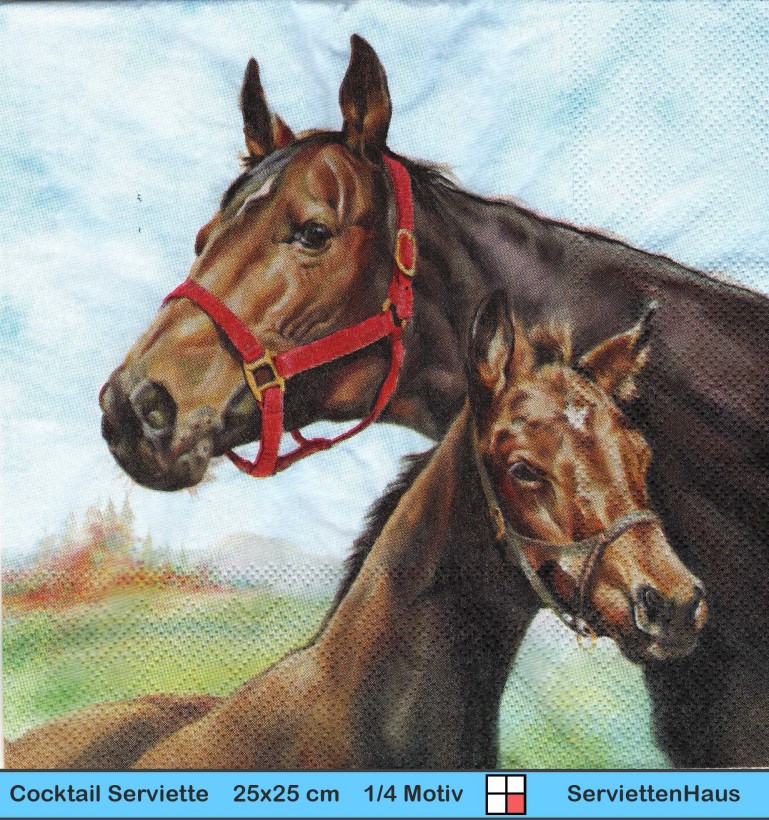 Pferd und Fohlen auf der Wiese am Wald - 1 Cocktail Serviette