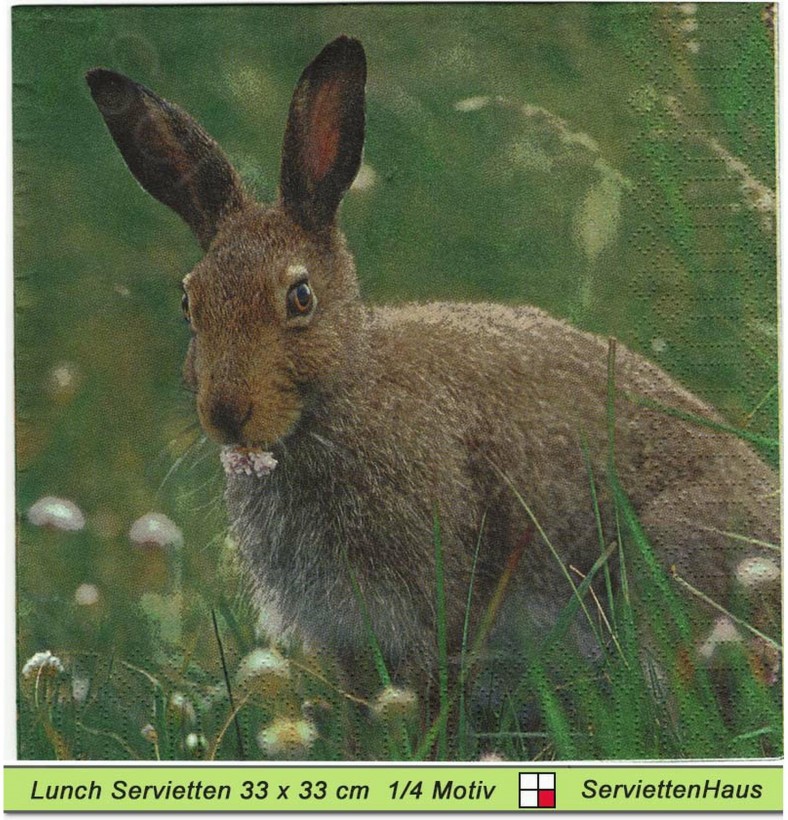 Roger der Hase - 1 Lunch Serviette