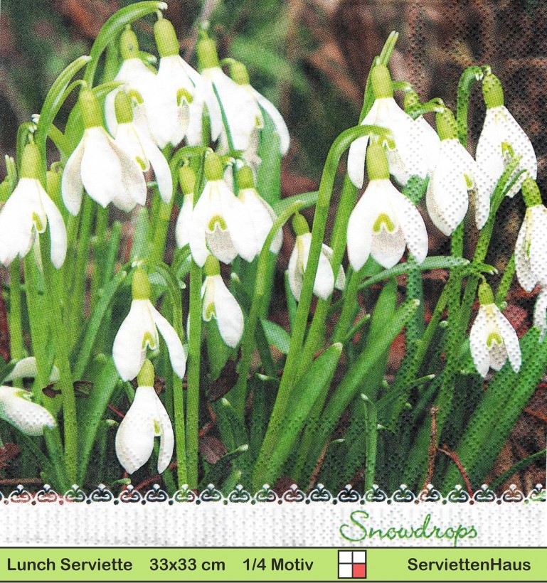Der Frühling kommt mit Schneeglöcken - 1 Lunch Serviette
