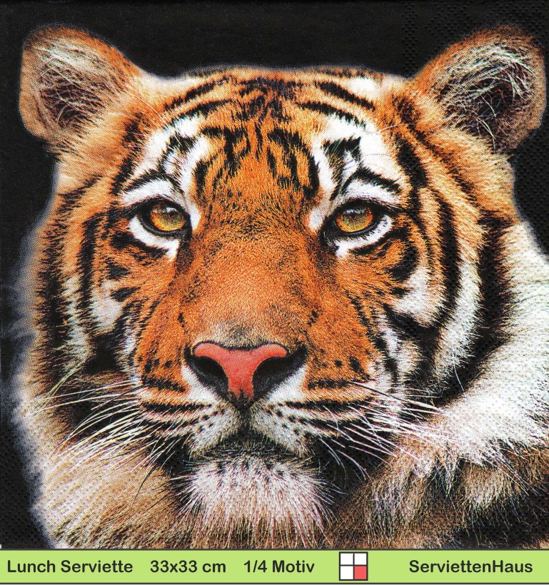 Tiger Portrait - 1 Lunch Serviette