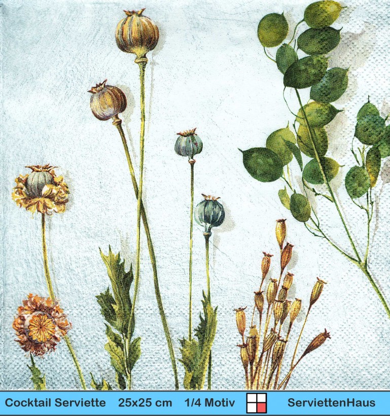 Trockenblumen auf zartem blau - 1 Cocktail Serviette