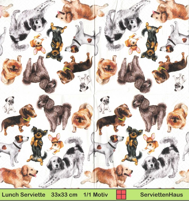 Verschiedene Hunde Pudel Pinscher  Chihuahua und mehr - 1 Lunch Serviette - halbes Motiv