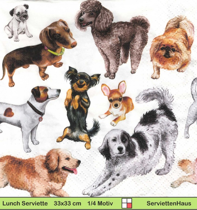 Verschiedene Hunde Pudel Pinscher  Chihuahua und mehr - 1 Lunch Serviette - halbes Motiv