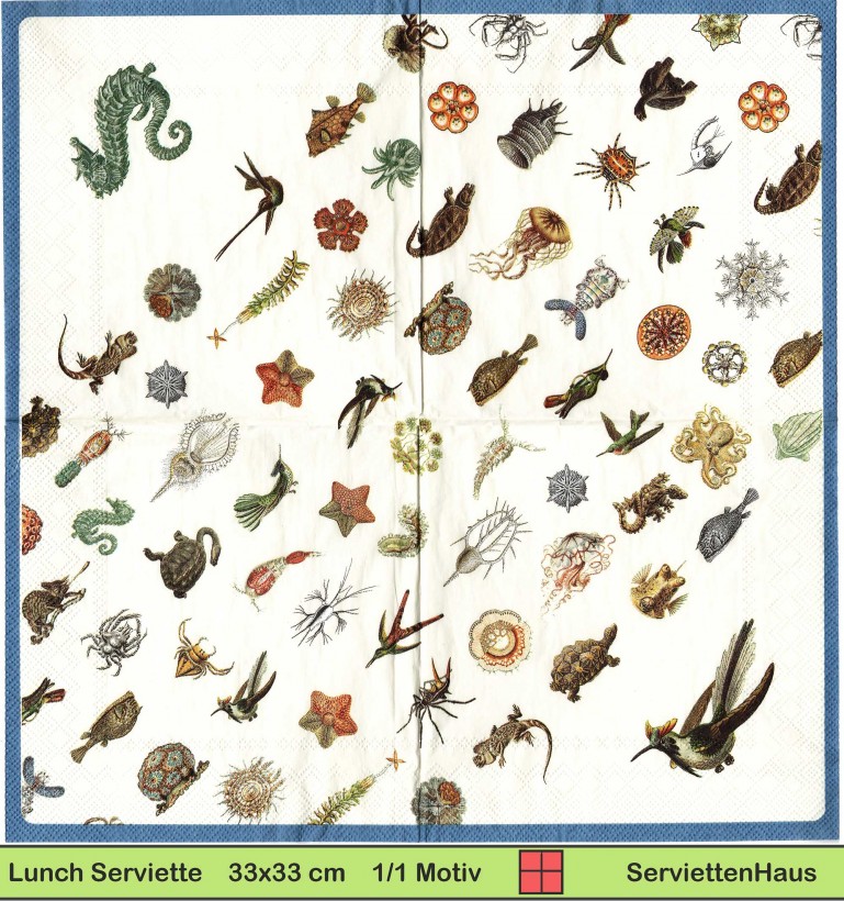 Kleine Qualle Schildkröte Leguan Echse Fische Vögel - 1 Lunch Serviette