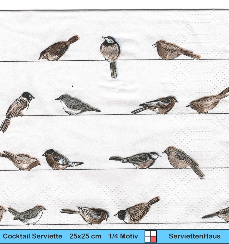 Gezeichnete Vögel auf Stromleitungen - 1 Cocktail Serviette