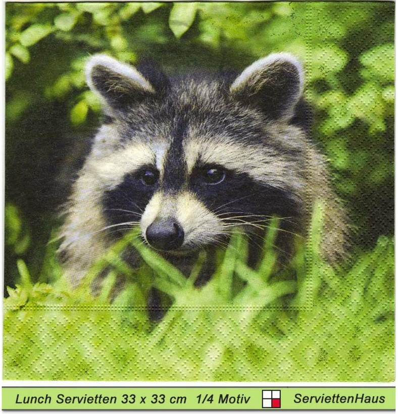 Waschbär im Gras - 1 Lunch Serviette