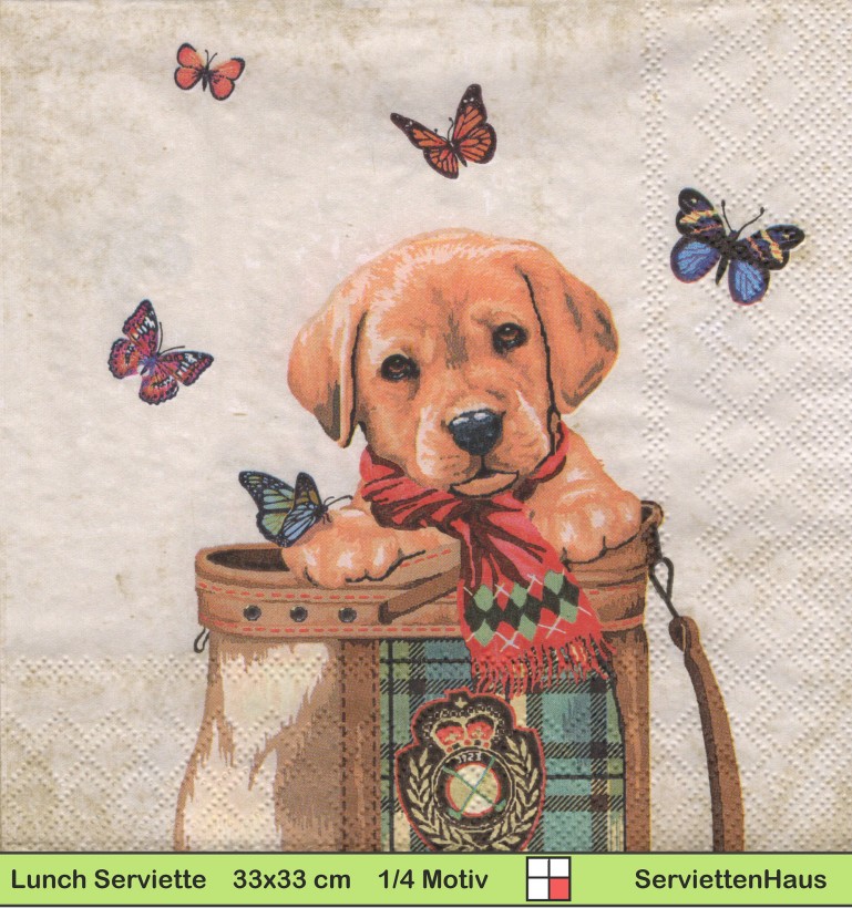 Kleiner Hund im Rucksack mit Schmetterlingen - 1 Lunch Serviette