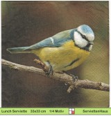 Ternberger - Blaumeise auf Ast sitzend - 1 Lunch Serviette