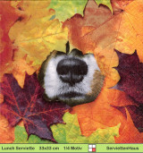 Hundenase zwischen herbstlichen Blätter - 1 Lunch Serviette