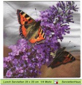 Schmetterling an Flieder - 1 Lunch Serviette