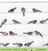 Gezeichnete Vögel auf Stromleitungen - 1 Lunch Serviette